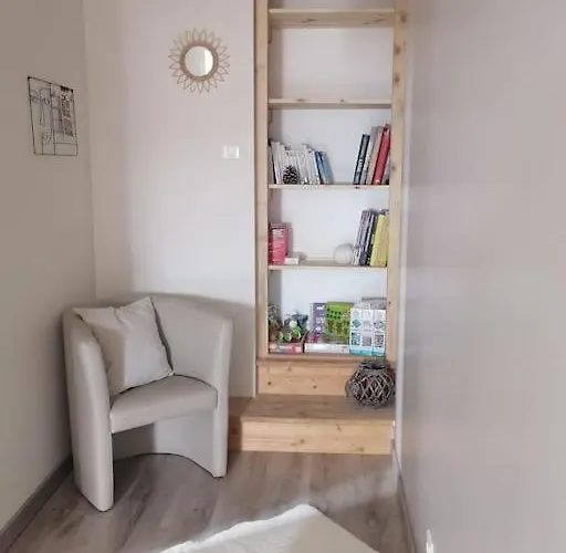 Apartment Duplex Neuf Avec Exterieur Montbrison
