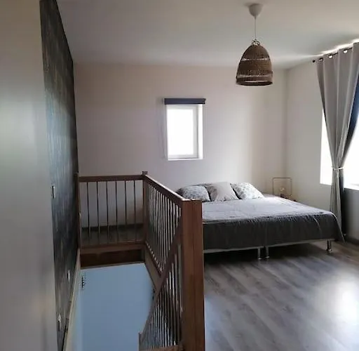 Duplex Neuf Avec Exterieur Montbrison
